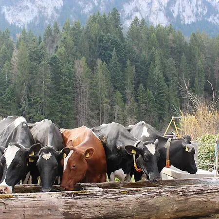 Le Berceau Alojamento de Acomodação e Pequeno-almoço 3*