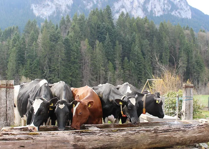 Le Berceau Frühstückspension 3*